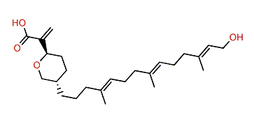 Barangcadoic acid A